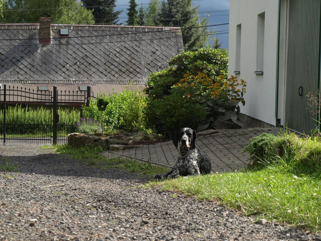 Guest House LUFT Sněžník Extérieur photo